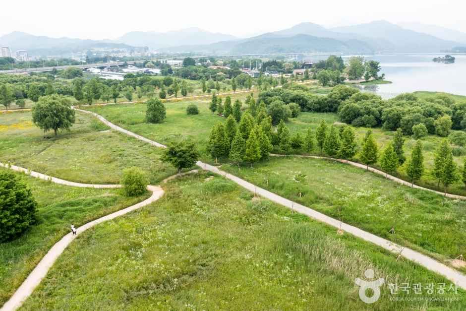 두물머리 관광사진