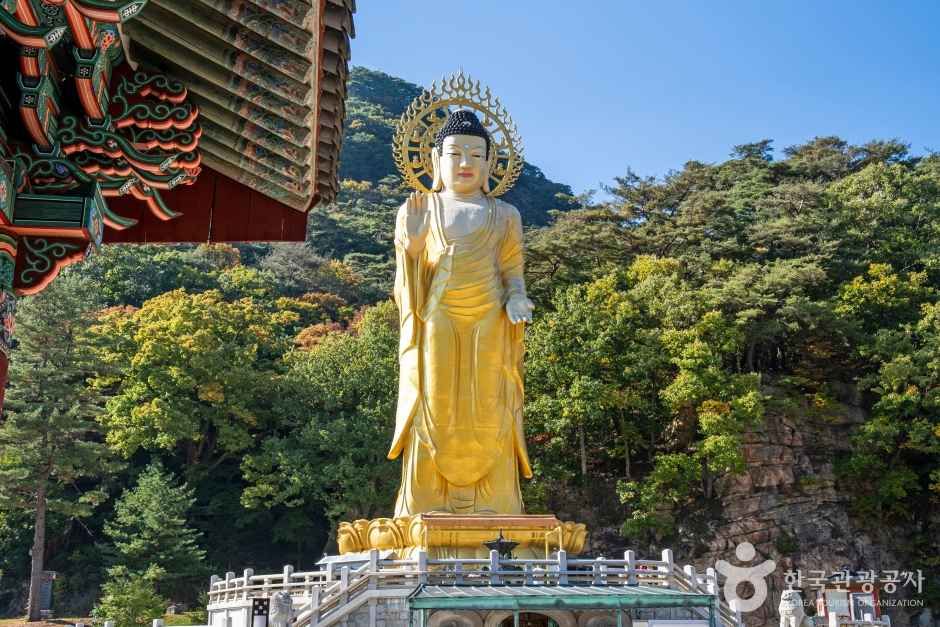 보은 법주사 관광사진