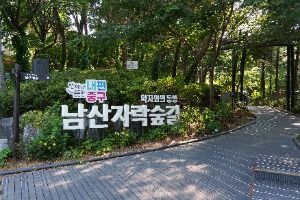 남산자락숲길