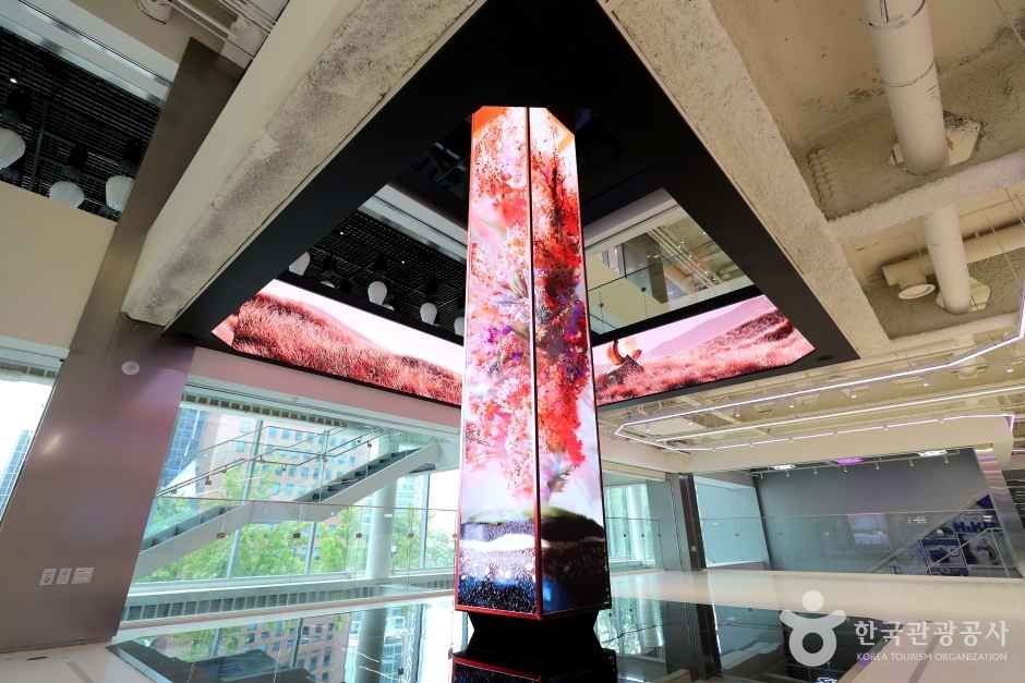 하이커 그라운드 관광사진