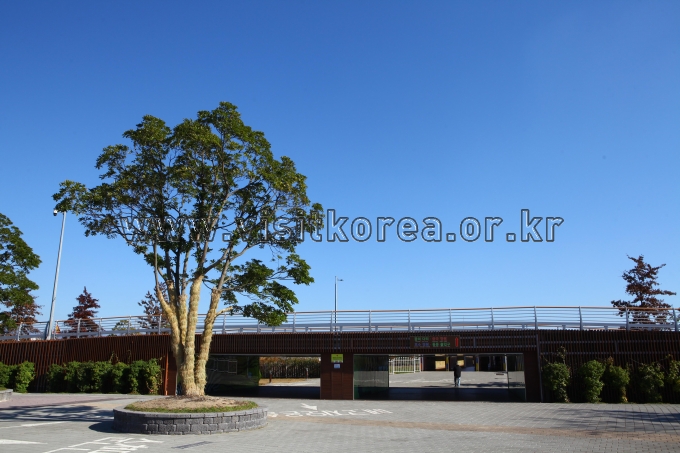 순천만국가정원 관광사진