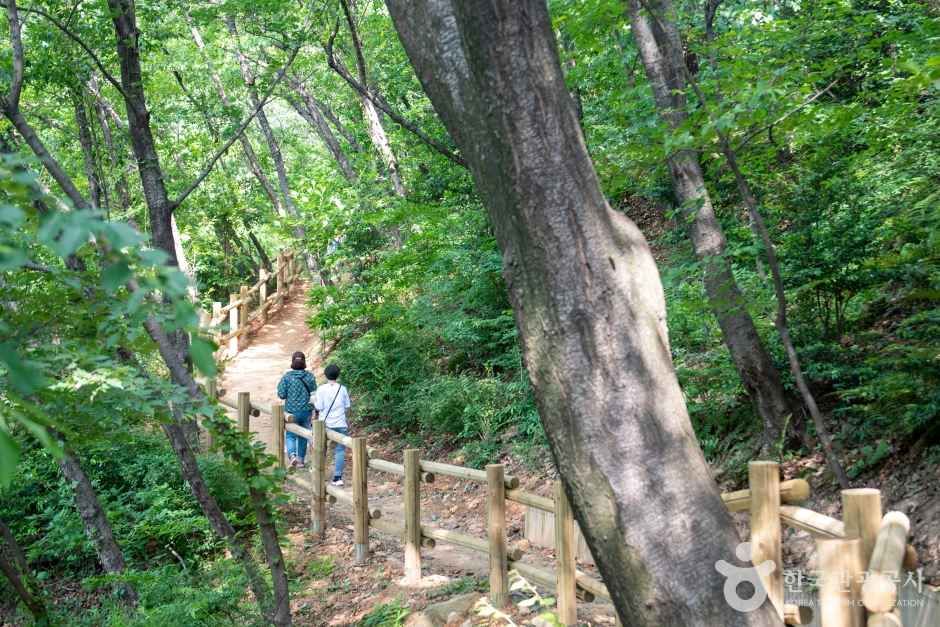 고흐의 길 포토코리아 공식 사진