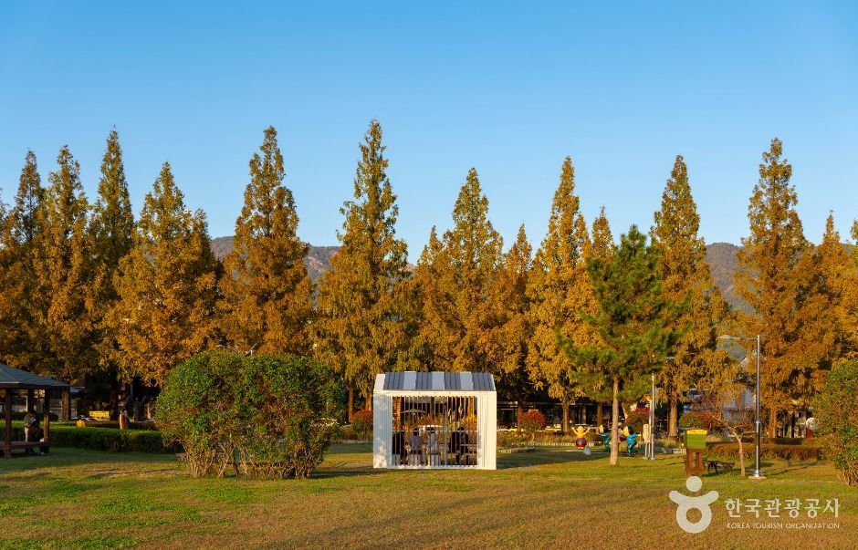 창원 가로수길 - 경상남도 창원시 성산구 용호동 관광 명소