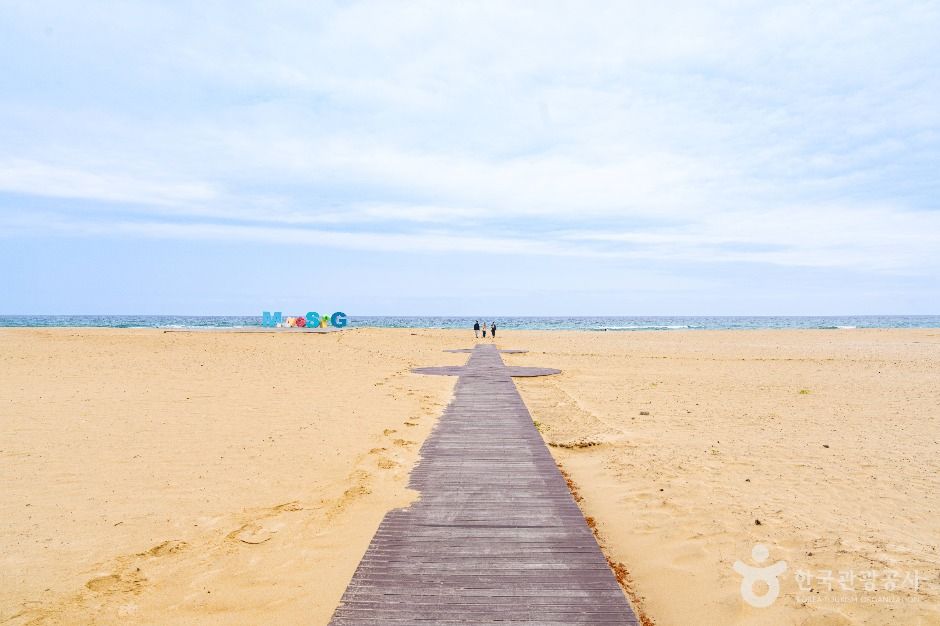 망상해변 사진 2