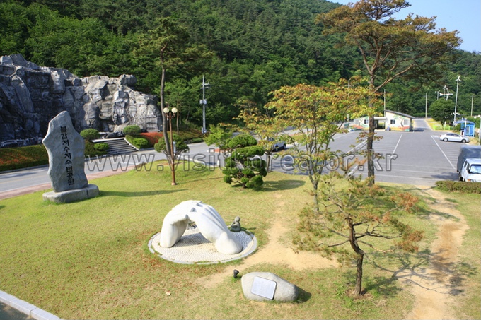 불갑저수지수변공원 포토코리아 공식 사진