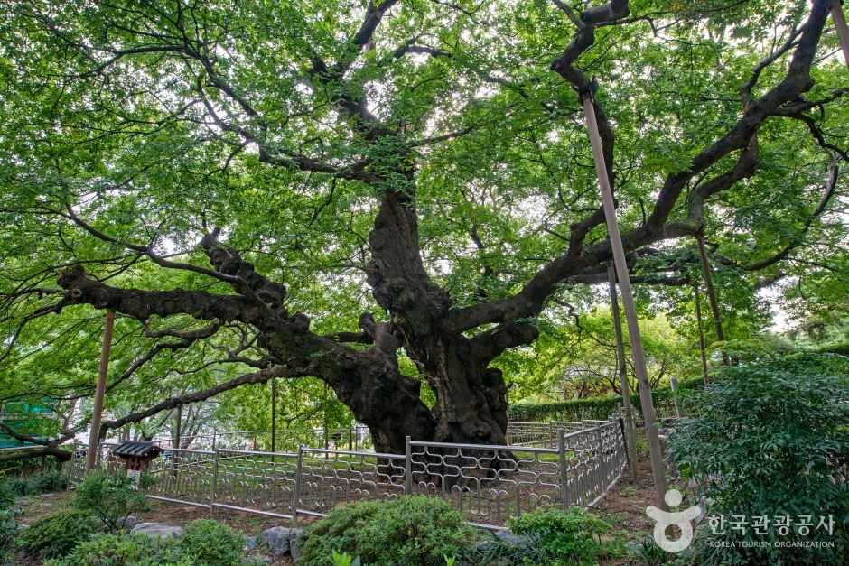 수영사적공원 포토코리아 공식 사진