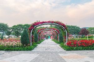 Seoul Grand Park Zoo, an outdoor family place, in Gwacheon-si