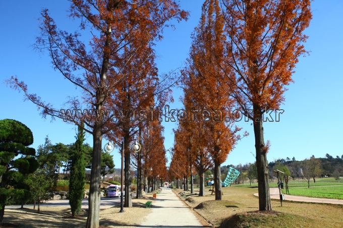 순천만국가정원 관광사진