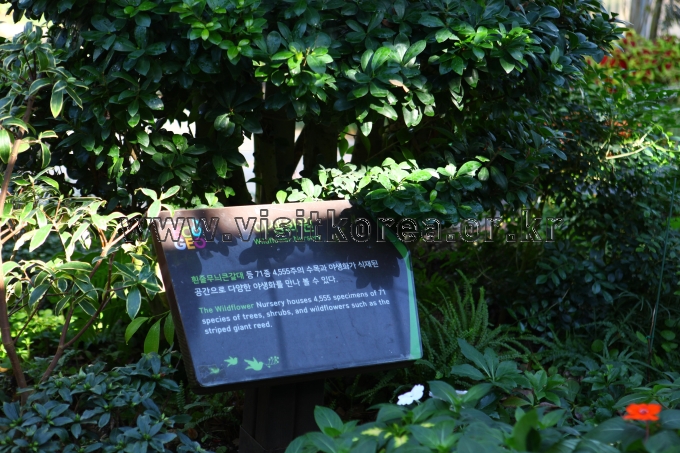 순천만국가정원 관광사진