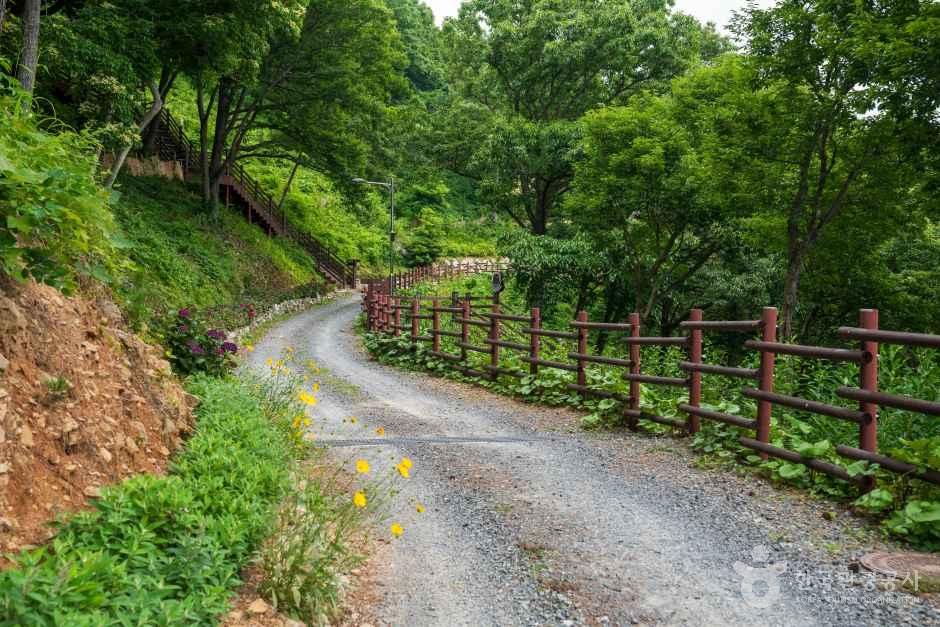 약산 해안 치유의 숲