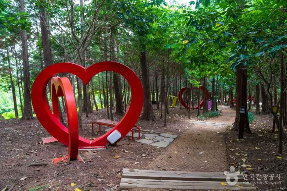 정남진 편백숲 우드랜드