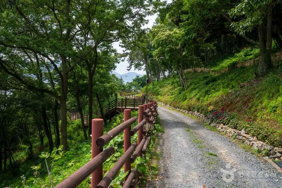 약산 해안 치유의 숲