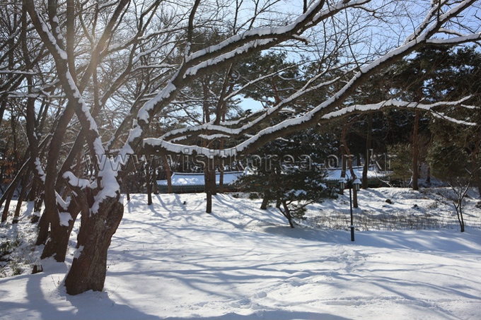 이미지 미리보기