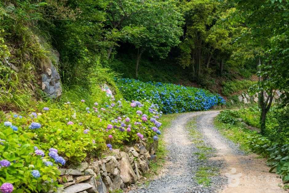 약산 해안 치유의 숲