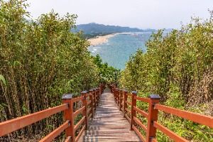 덕봉산 해안생태탐방로