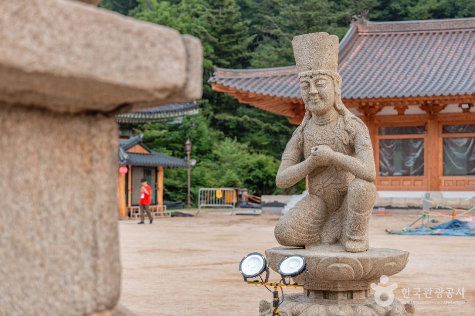 월정사·월정사 전나무숲