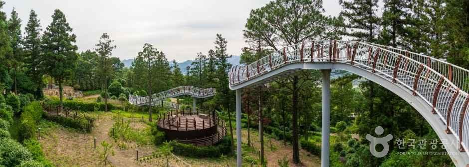 정남진 편백숲 우드랜드