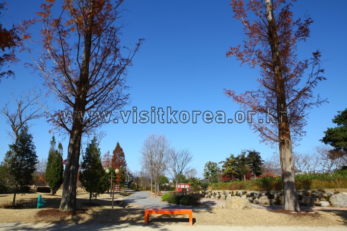 순천만국가정원 관광사진