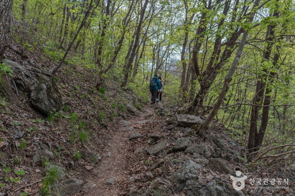점봉산 곰배령 설악산국립공원 5