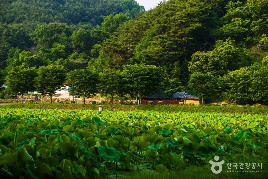 상림공원