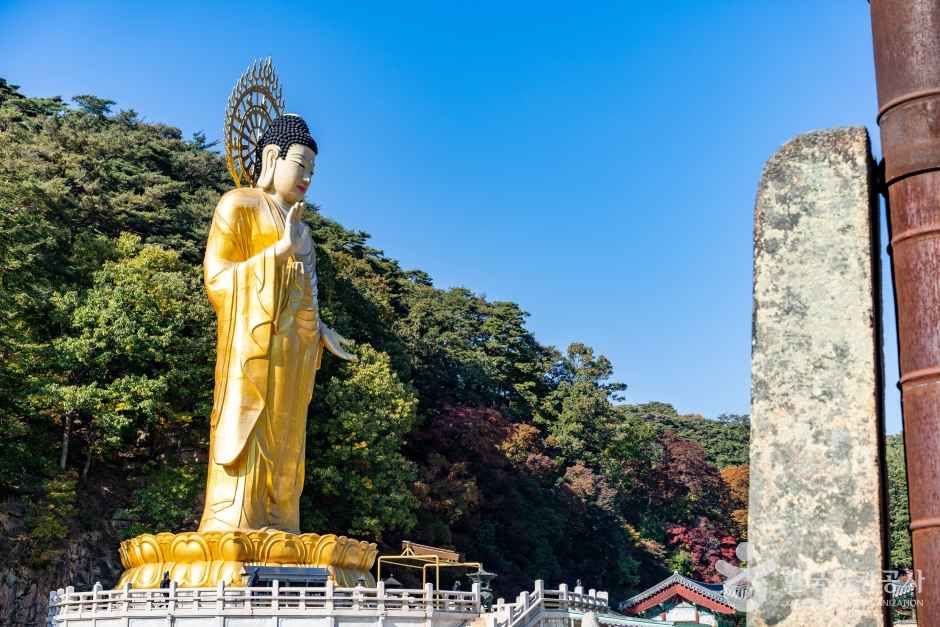 보은 법주사 관광사진