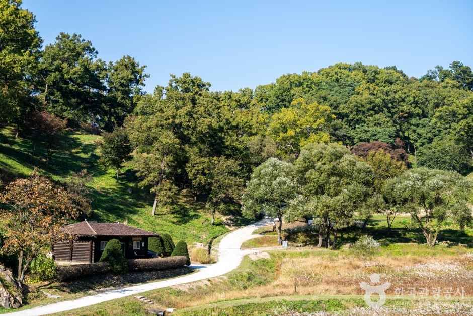 보은 삼년산성 관광사진