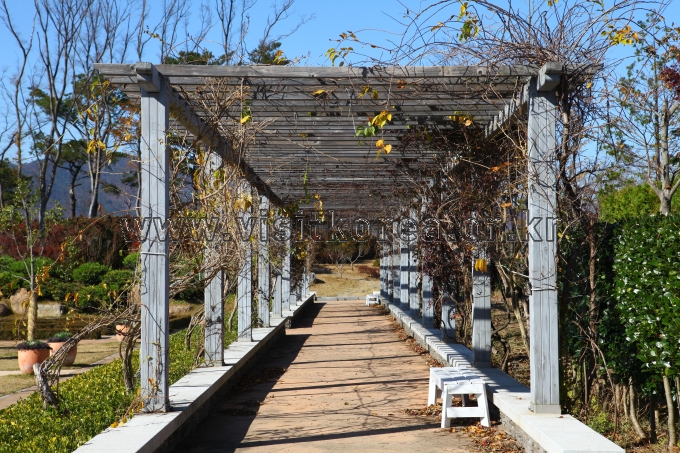 순천만국가정원 관광사진
