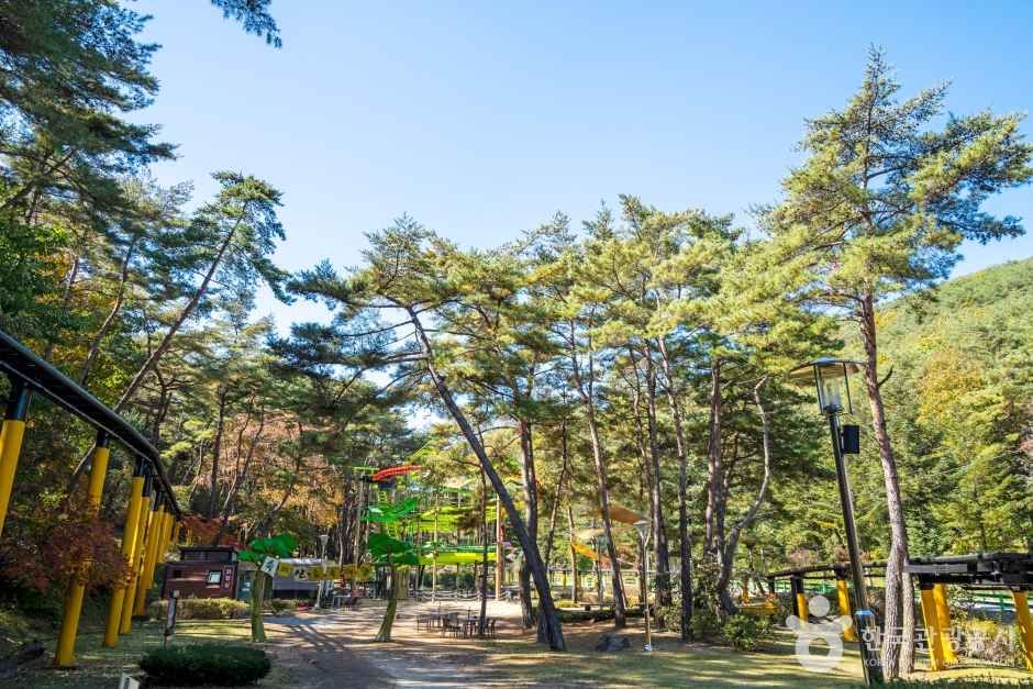속리산테마파크 관광사진