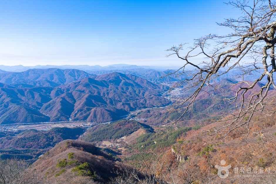 무주반딧불축제 이미지