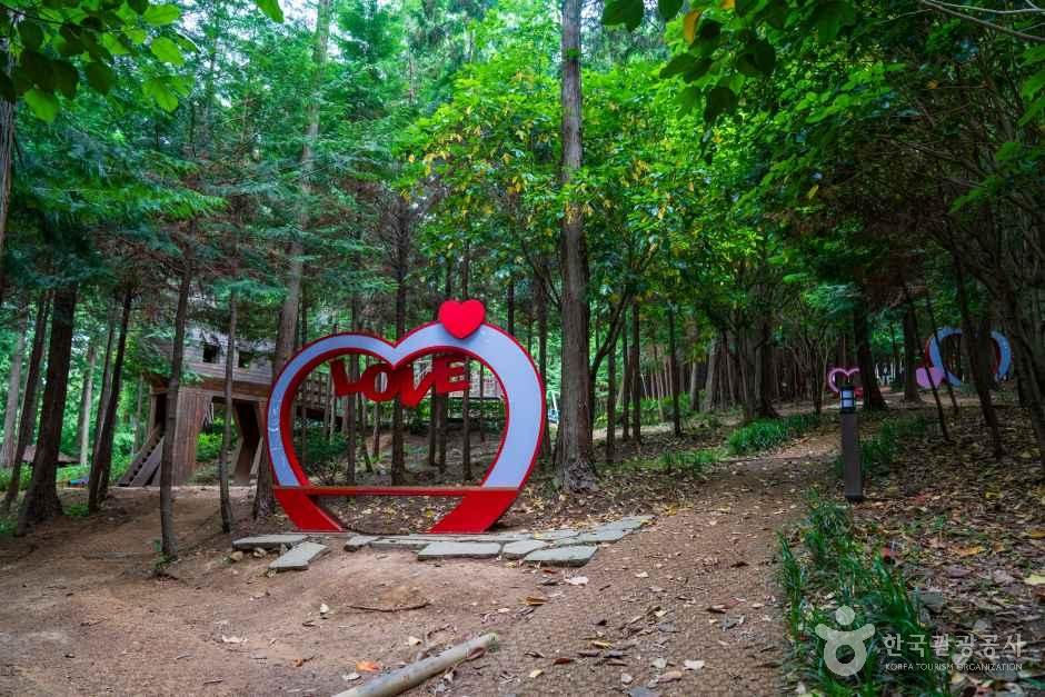 정남진 편백숲 우드랜드