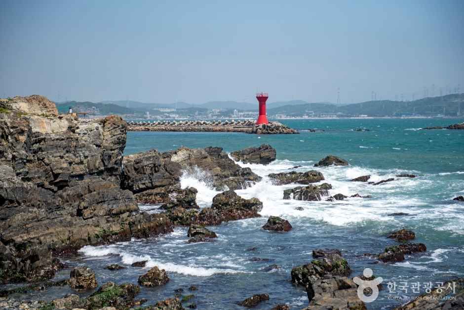 신평소공원 포토코리아 공식 사진