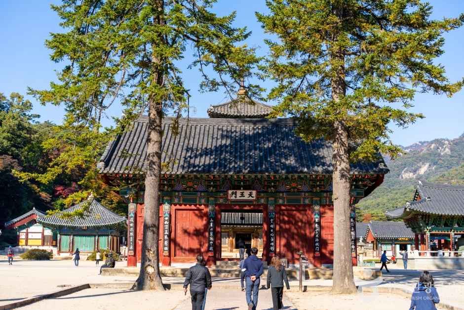 보은 법주사 관광사진