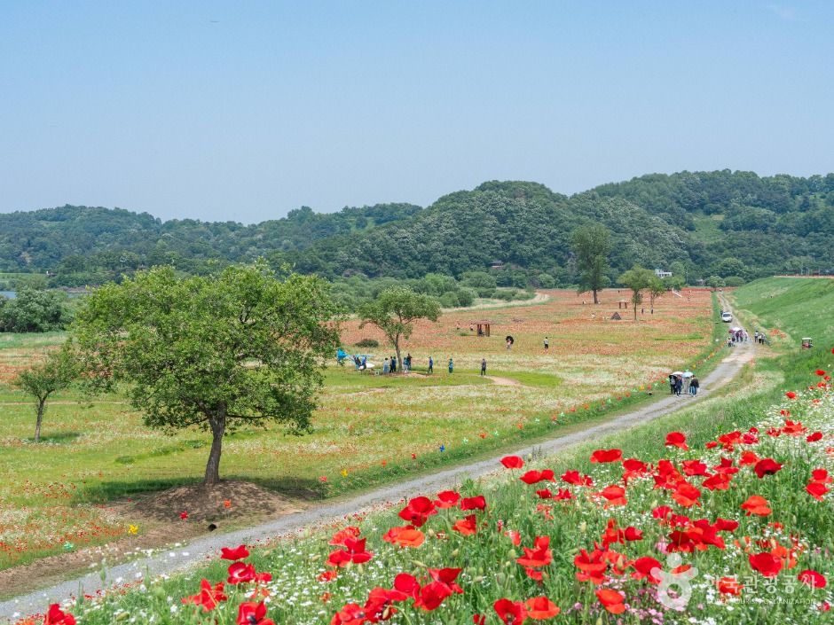 岳陽堤防