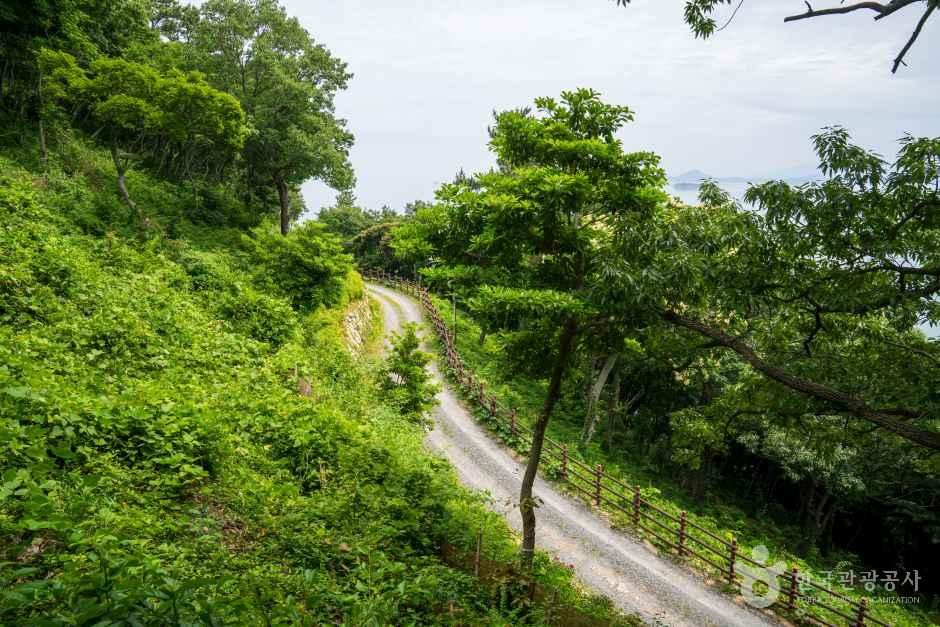 약산 해안 치유의 숲