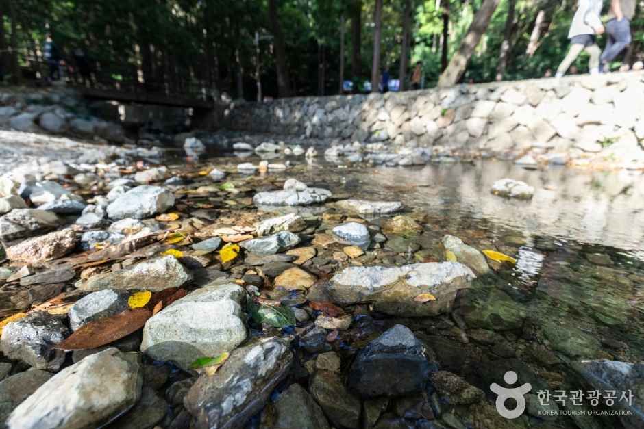 대신공원 포토코리아 공식 사진