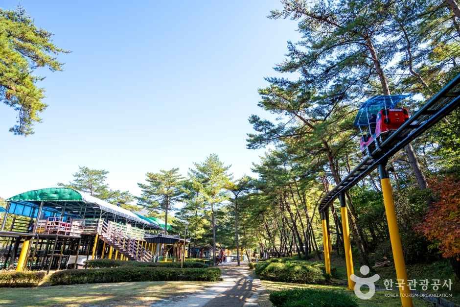 속리산테마파크 관광사진