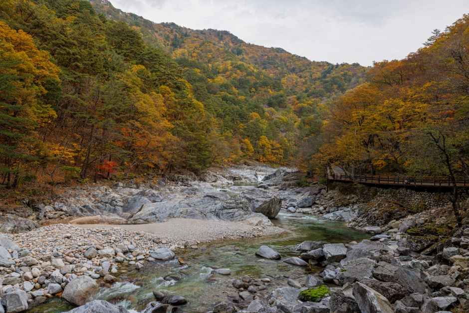 꼴라먹는 닭강정 제품 이미지