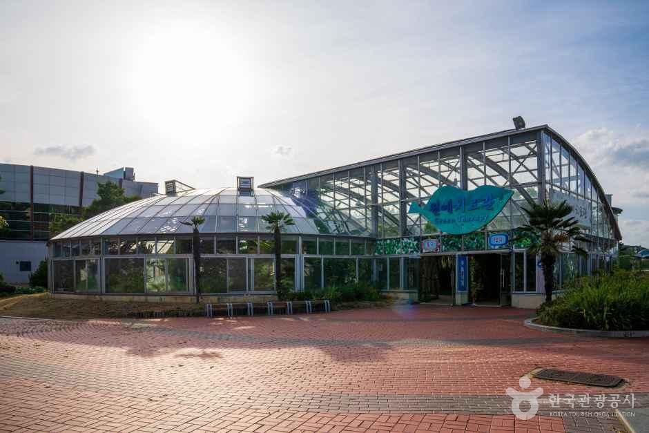 울진 왕피천 공원
