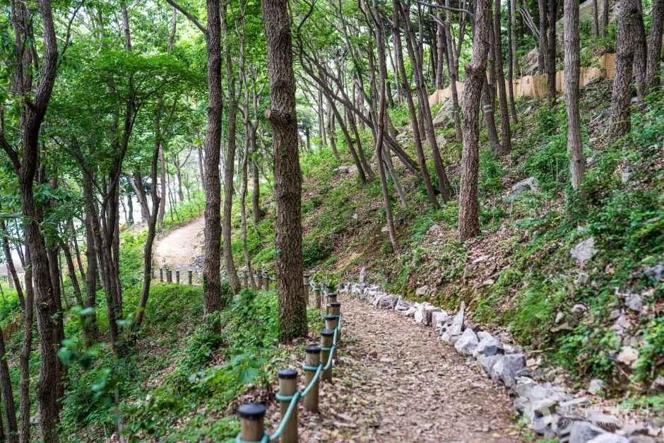 약산 해안 치유의 숲