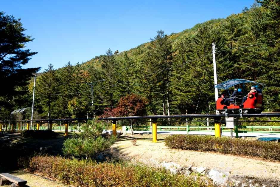속리산테마파크 관광사진