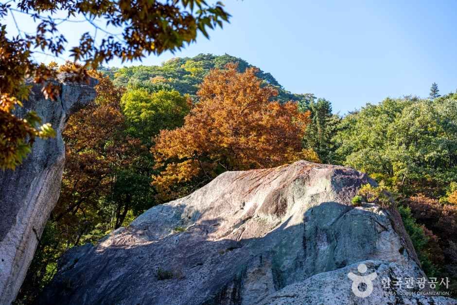 보은 법주사 관광사진