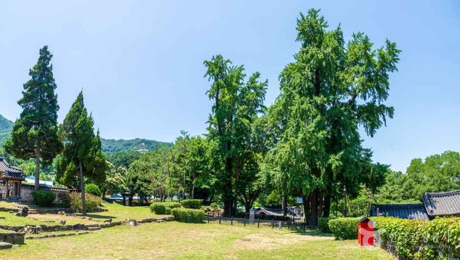 아산 맹씨 행단 관광사진
