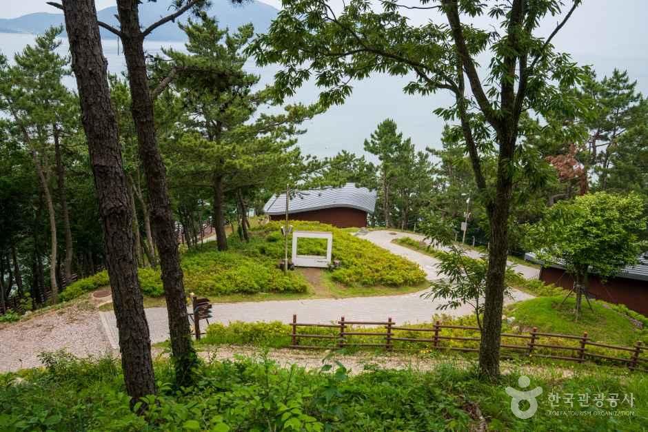 약산 해안 치유의 숲