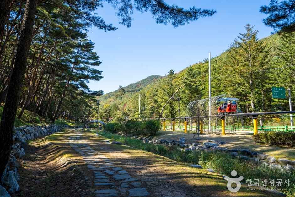 속리산테마파크 관광사진