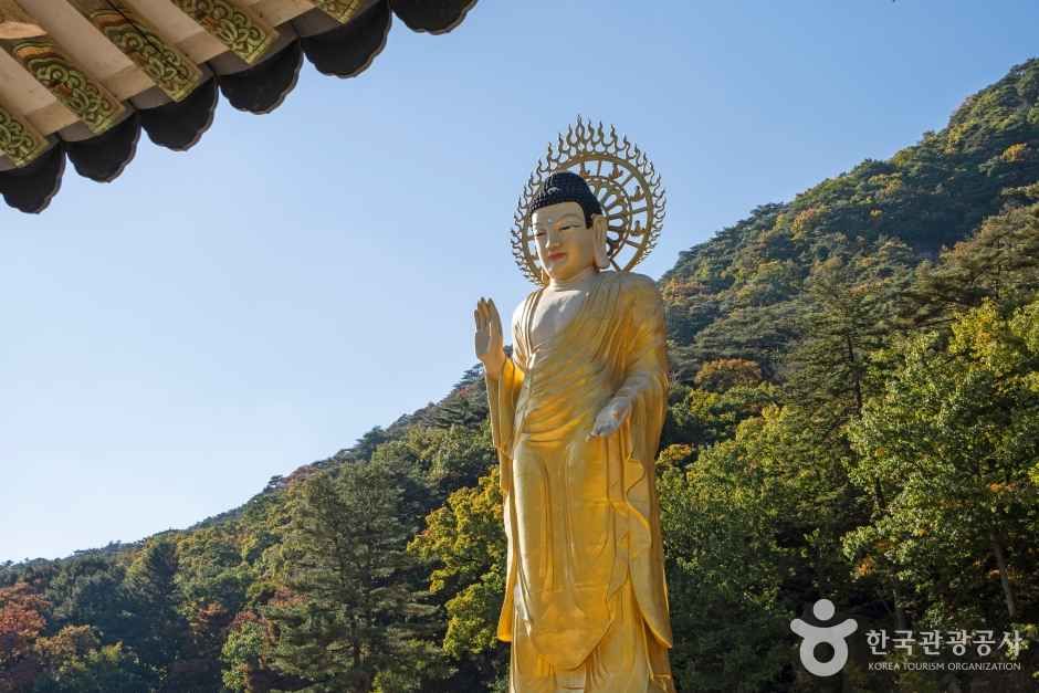 보은 법주사 관광사진