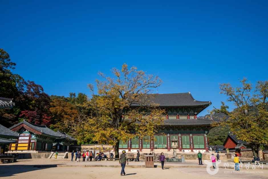 보은 법주사 관광사진