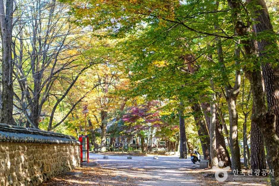 보은 법주사 관광사진