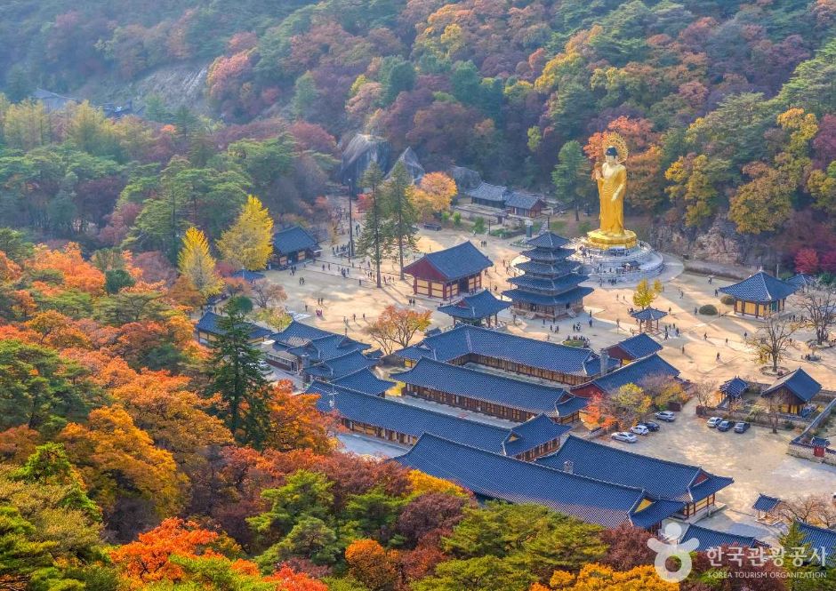 법주사의 가을 · 충청북도 보은군 속리산면, 법주사 · 사진 홍현선