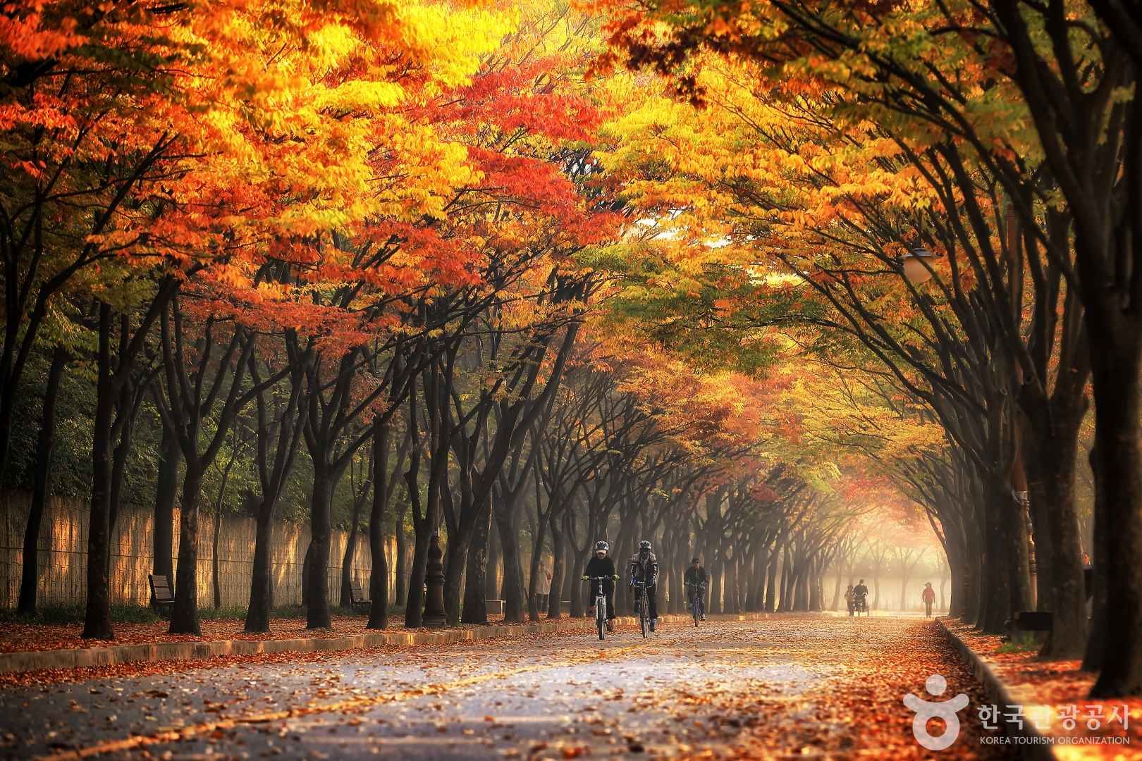 인천대공원