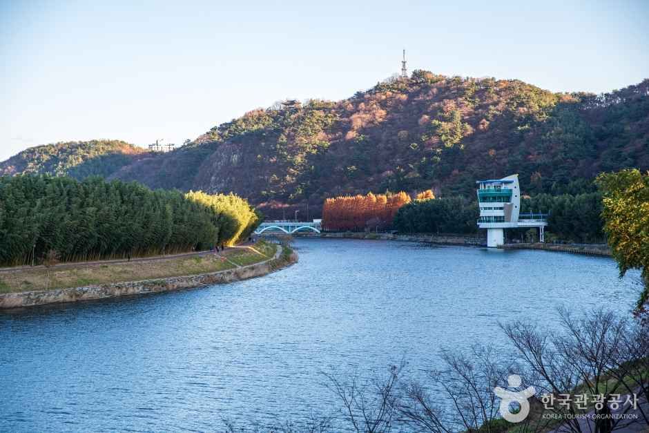 태화강 국가정원 관광사진